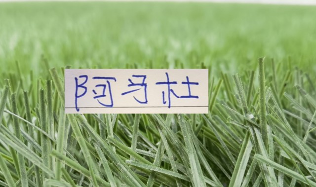 yl23455永利中国有限公司-想不到！连阿马杜离开申花 都引起争议 期待他在重庆穿10号表现吗